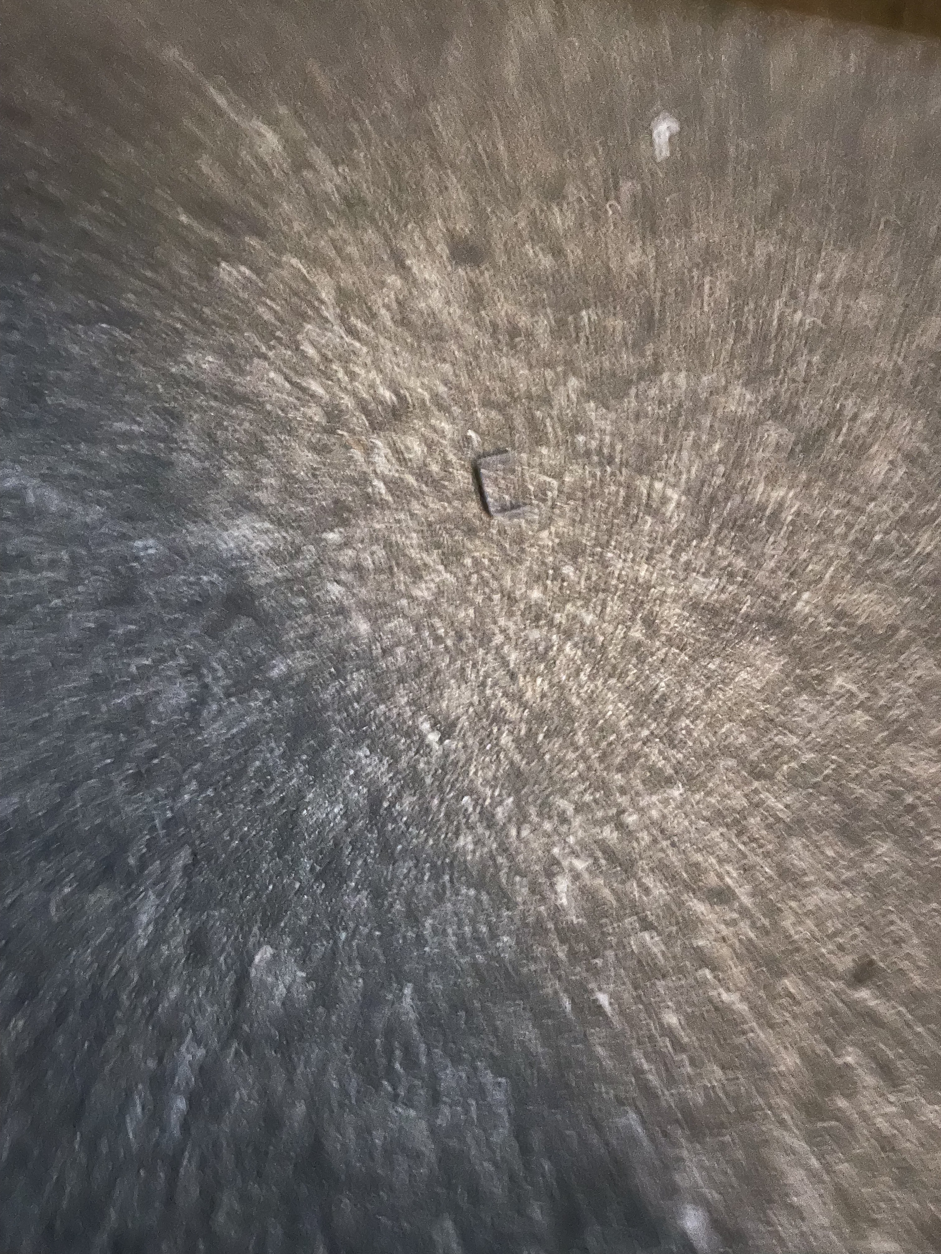 DavidPictureOfStaple